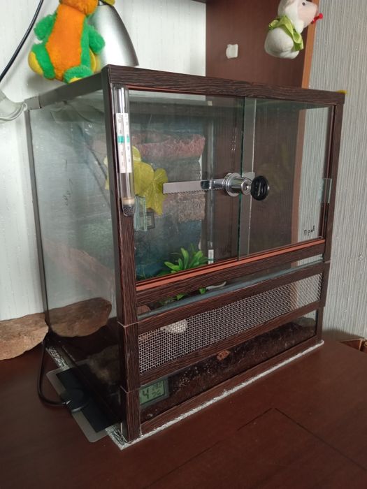 Террариум Террариум