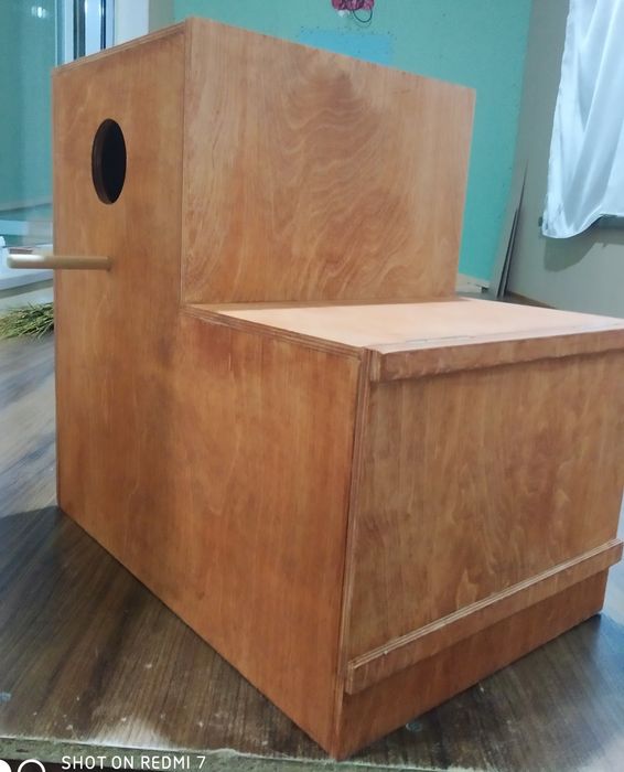 Ожиреливые попугаи