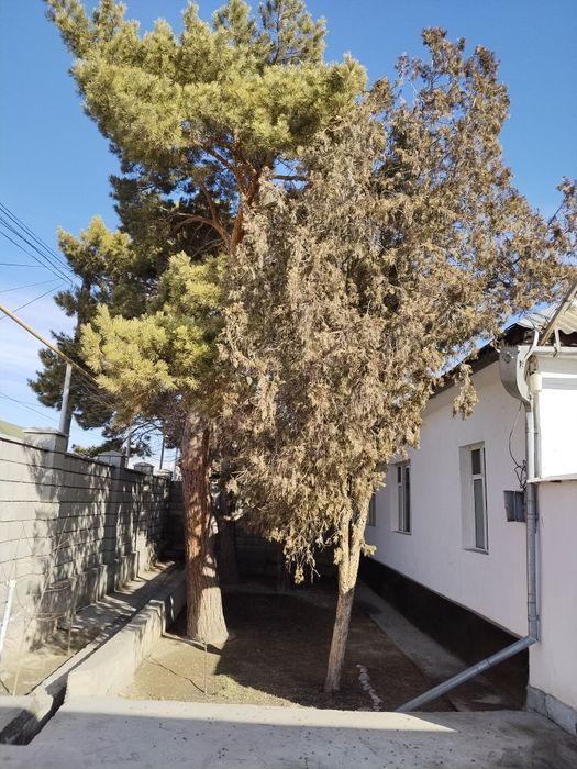 Продам дом в городе Жаркенте
