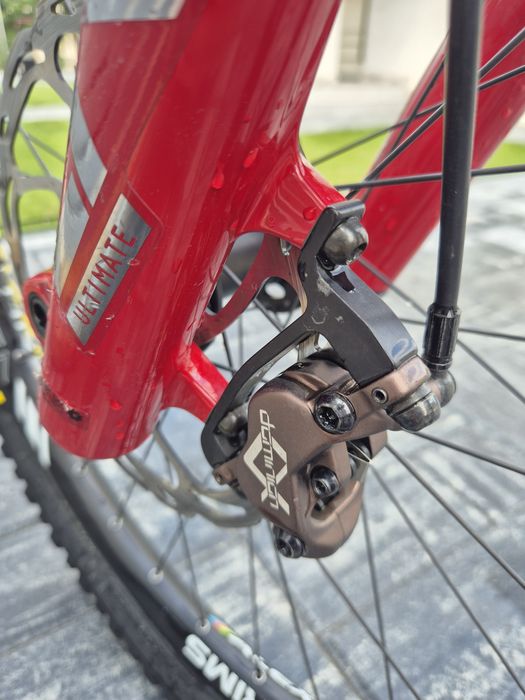 Vând Rose Pikes Peak