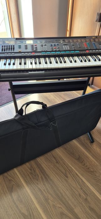 Claviatura electronica/pian/orga  Yamaha PSR 4600