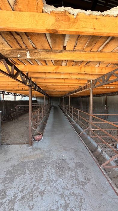 Ферма сотилади 18 сотих янгийул халкабодда