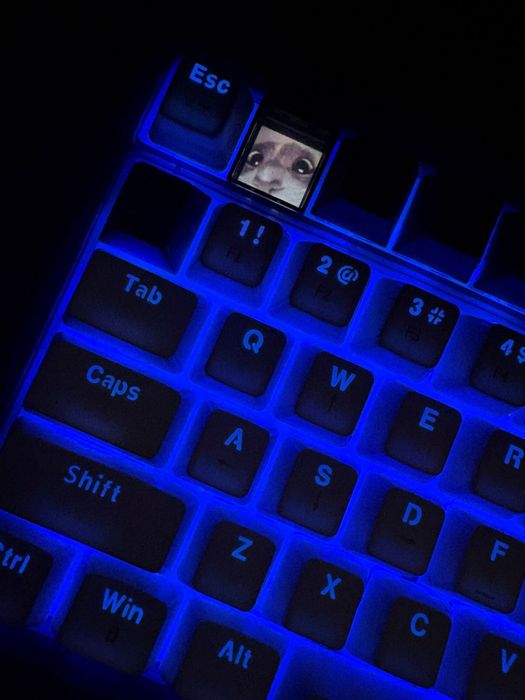 Клавиатура Darmoshark TOP75 белый