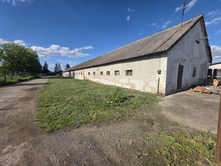 Halã/ Depozit de inchiriat