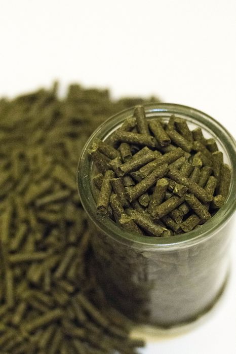 Корм для морских свинок, хомяков и грызунов