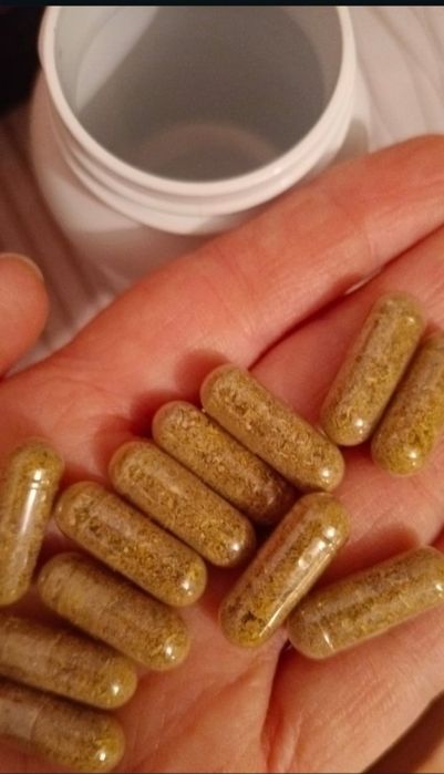 Мёдь лечебный и мужская сила