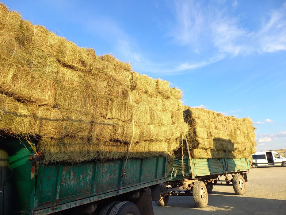 Продам сено тюках. Рулон.