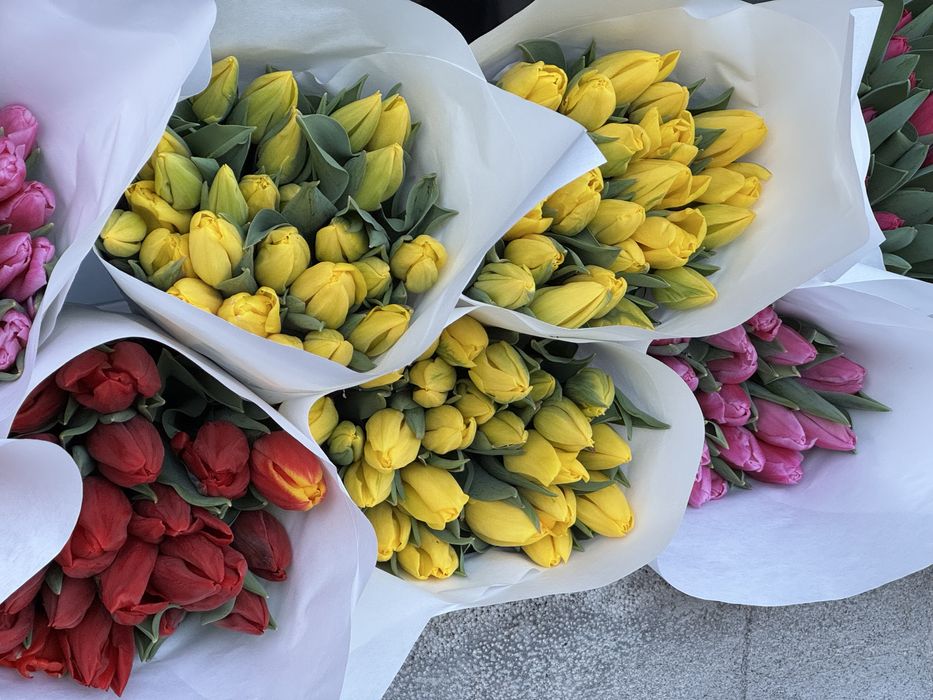 Тюльпаны на 8 марта оптом и в розницу