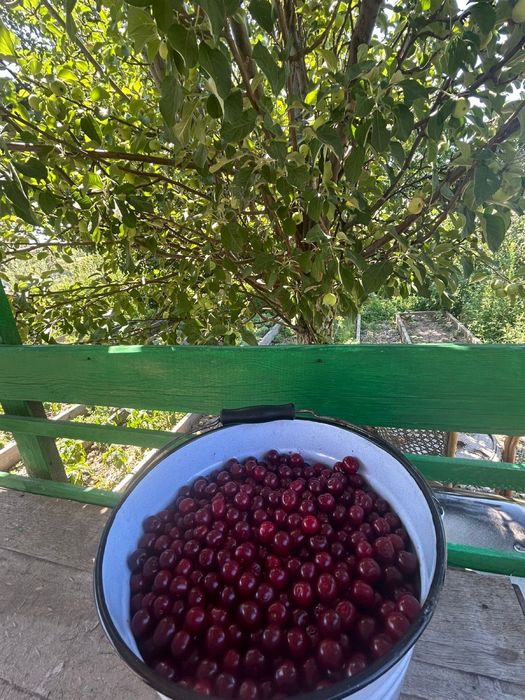 Продается дом на Восточном 4 дачи