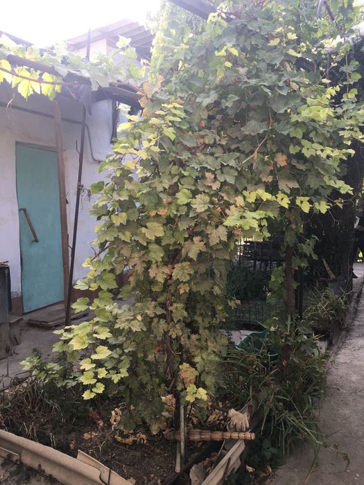 Продается участок 4 сотки