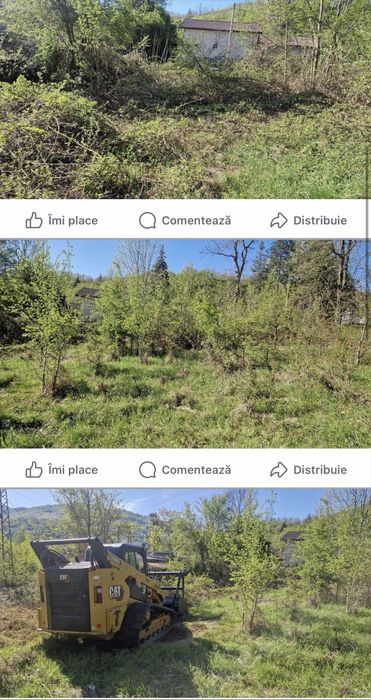 Defrisari curatat teren , iasi