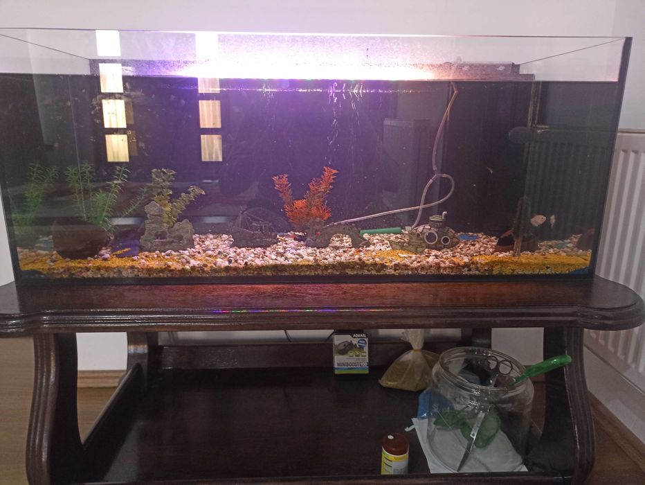 Vand urgent acvariu 160 litri