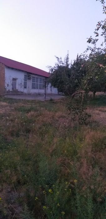 сурочни прадайотса Дом