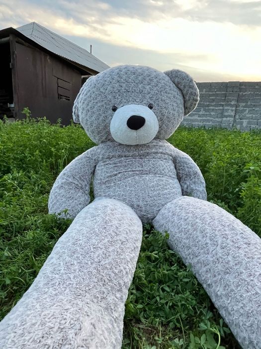 Мишка. жұмсақ  2 метр