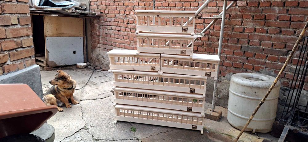 Хранилки за гълъби