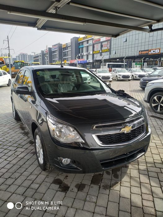 Cobalt MSM STYLE 2026