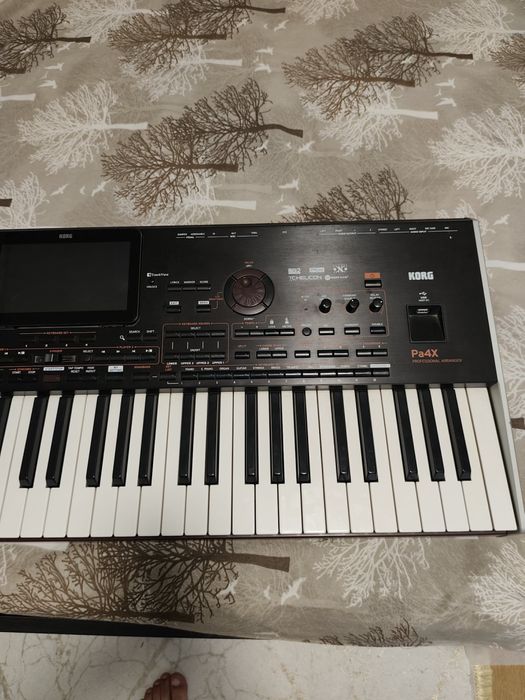 Korg Pa4x/Korgpa4X