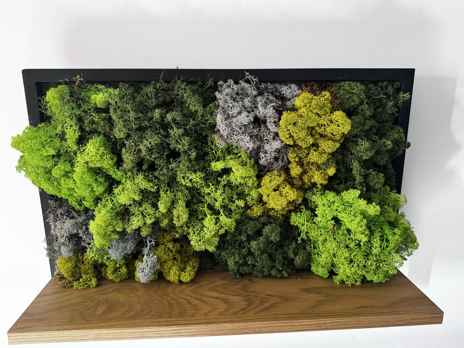 Decorațiuni handmade cu mușchi natural stabilizat
