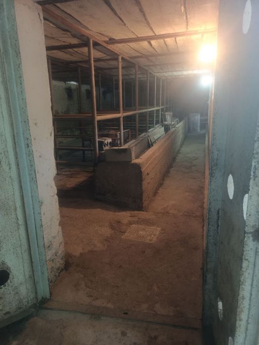 Yer sotiladi 3 sotix