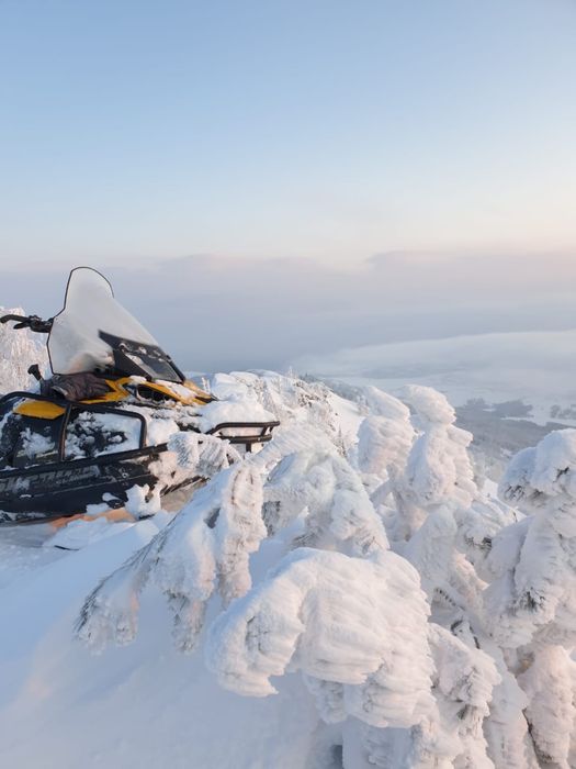 Снегоход brp ski-doo skandic 600