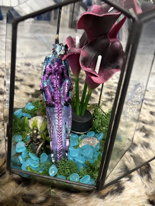 Terariu din sticlă handmade pentru orchid mantis , păianjeni, insecte exotice, gecko, reptile mici – ușă frontală, ventilație, stare excelentă iasi