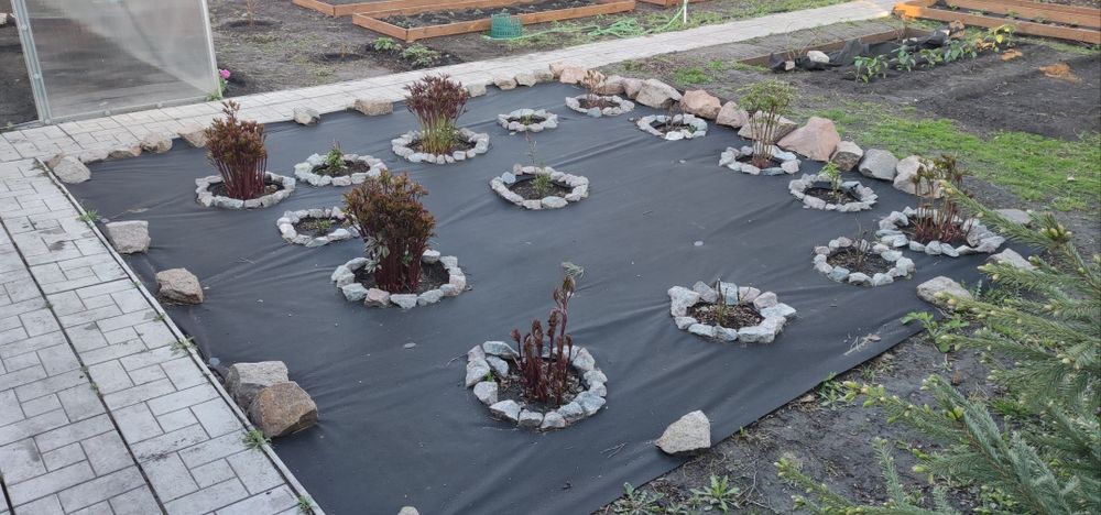 Продам дачу, Гудок