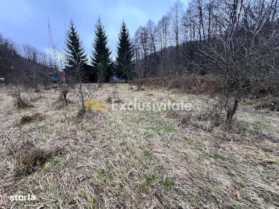Teren intravilan 6.500 m²–Deschidere 144 ml drum european E81, km 35,