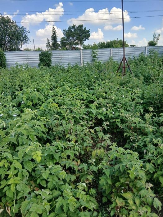 Продам дачу на грп