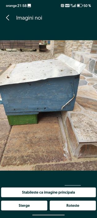 Colector de polen tip Sălaj