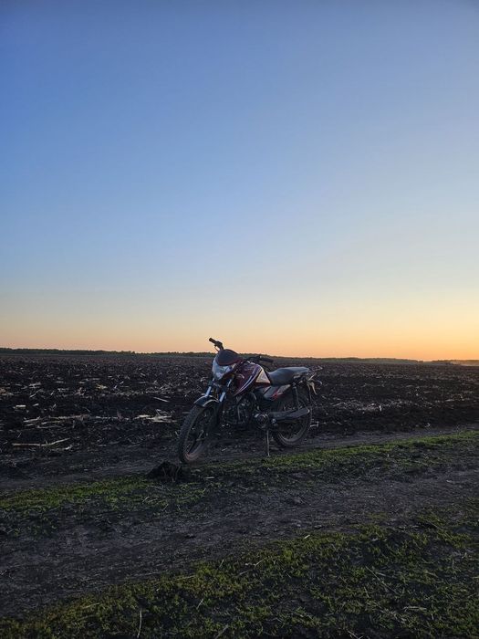 Peda shark 125 на полном ходу