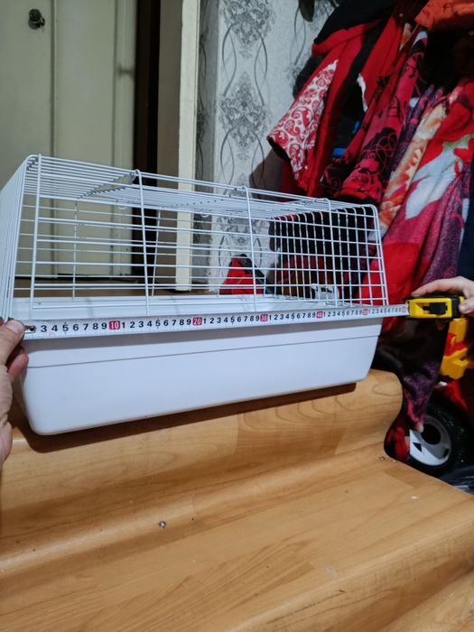 Клетка новая большая