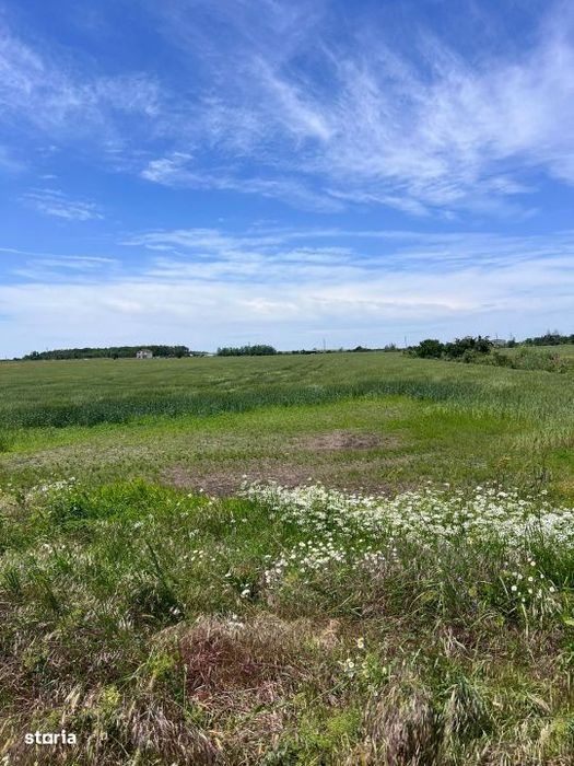 Teren intravilan de vanzare – Carcea, zona Veropan (Depozitul legume