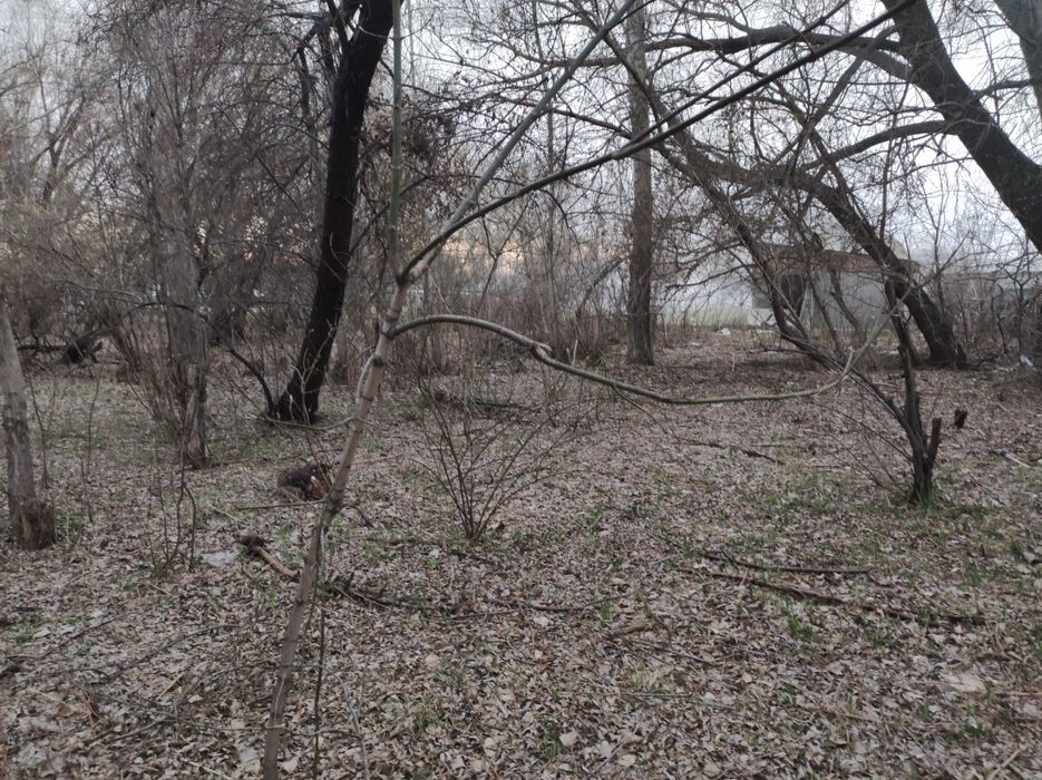 Срочно Продам участок с домом