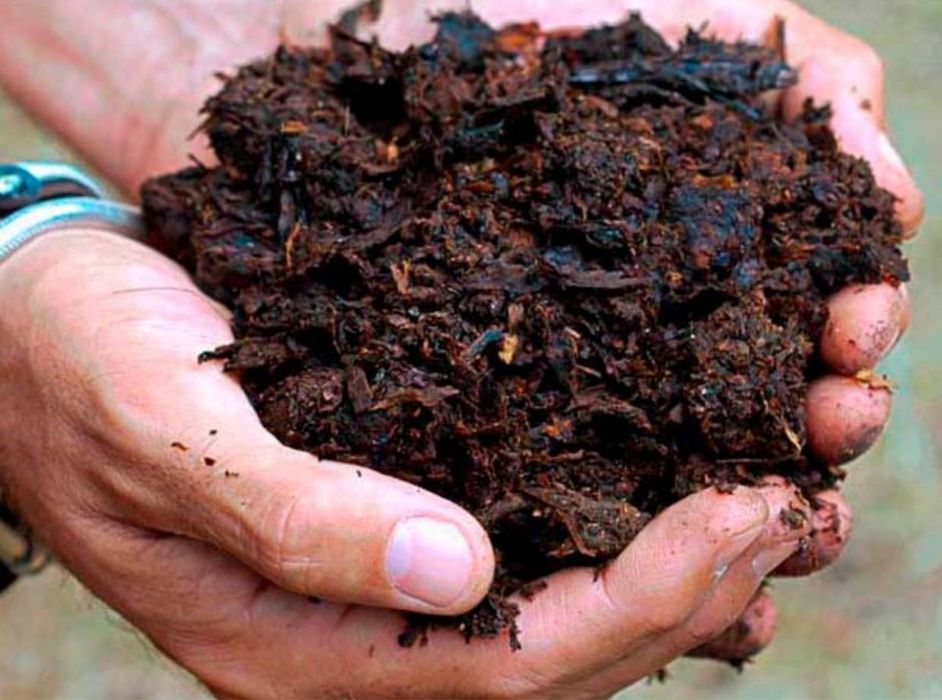 БЕПУЛ Сигир Ножаси Гонг НАВОЗ