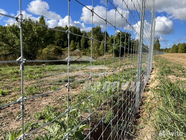 Шарнирная сетка, чабанка, сетка металлическая