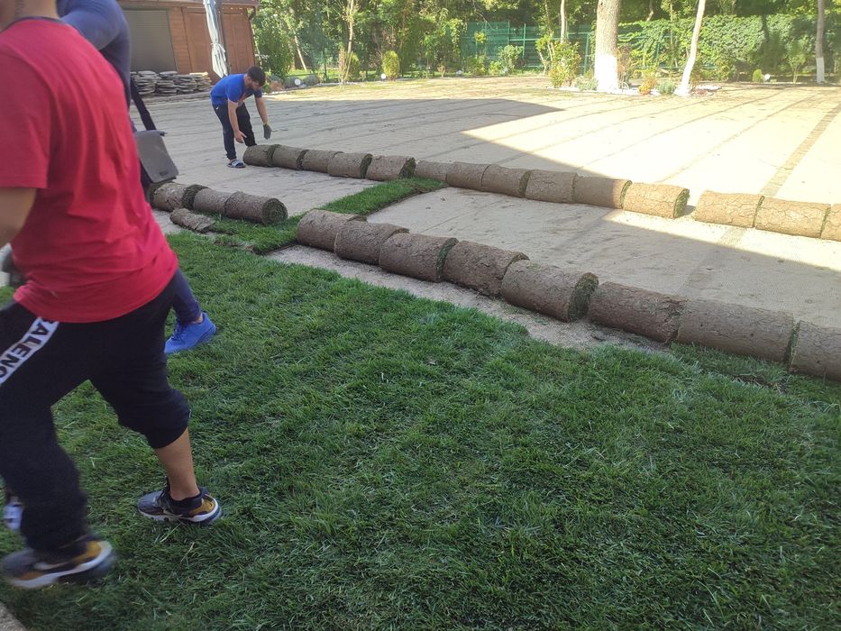 Gazon rulou sport, 24 de lei m2. Transport și montaj inclus în preț.