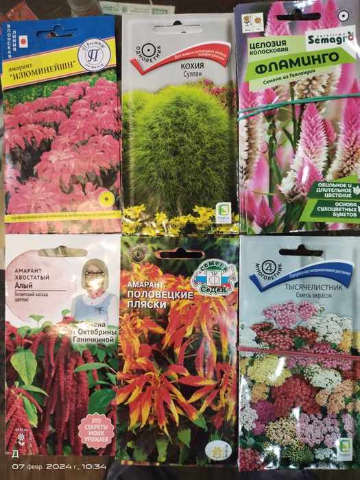 Семена цветов, однолетних и многолетних