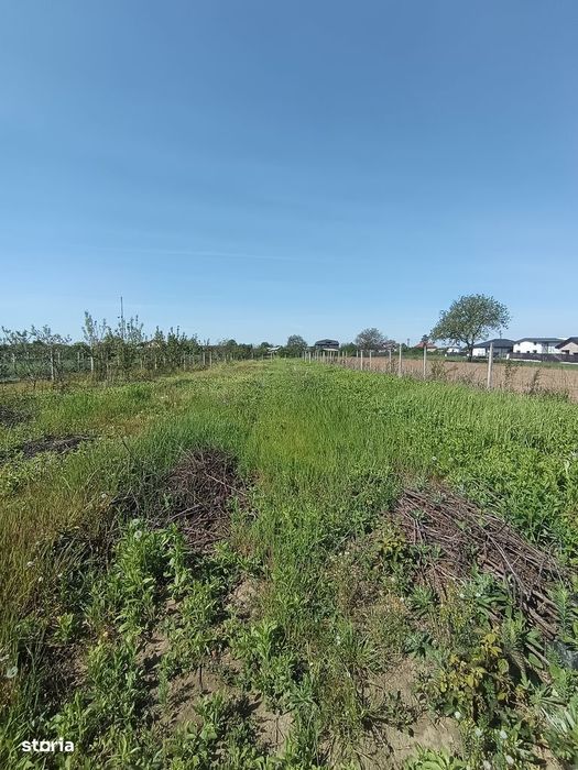 Vanzare teren 4000 mp Ulmi- Dambovita