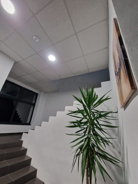 Cazare, camere.regim hotelier,