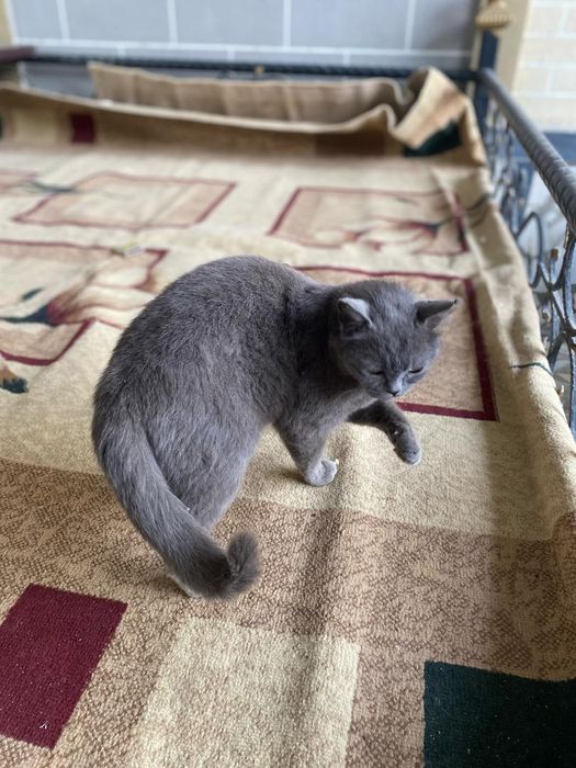 Rus kino aktrisalarining ochiq pornografik fotosuratlari