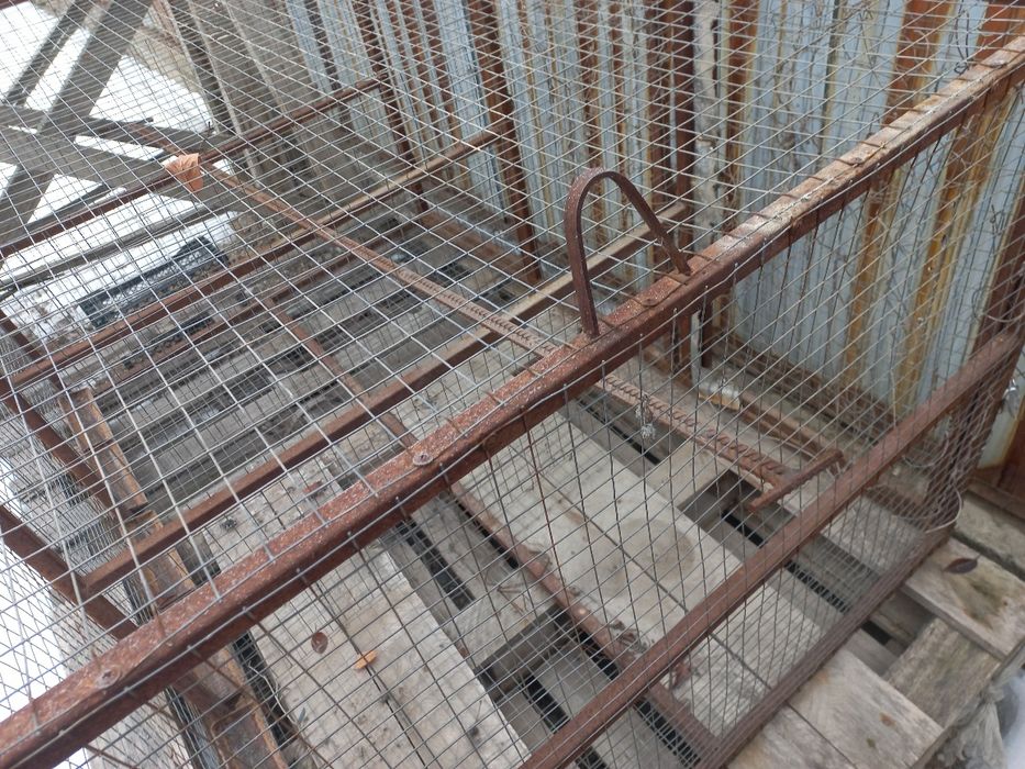 Сетка для птиц и цыплят , поп