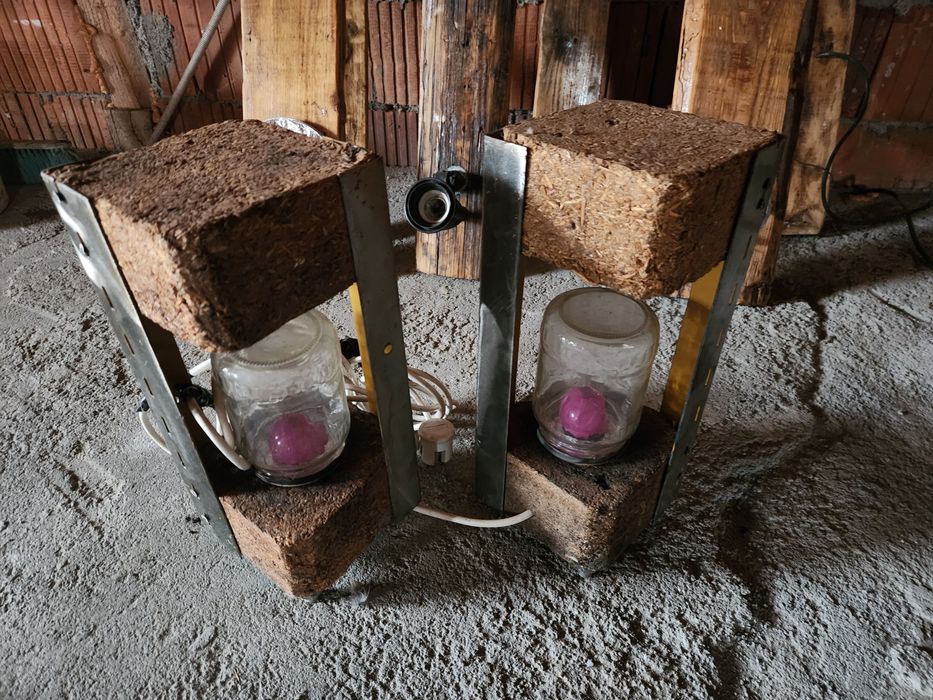 Raft lemn masiv + Lustre