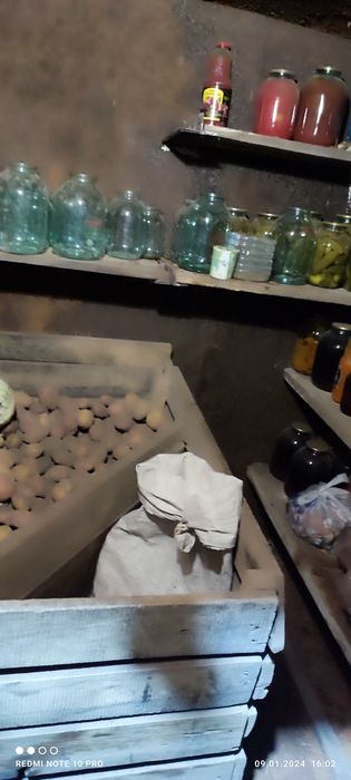 Продам картофель