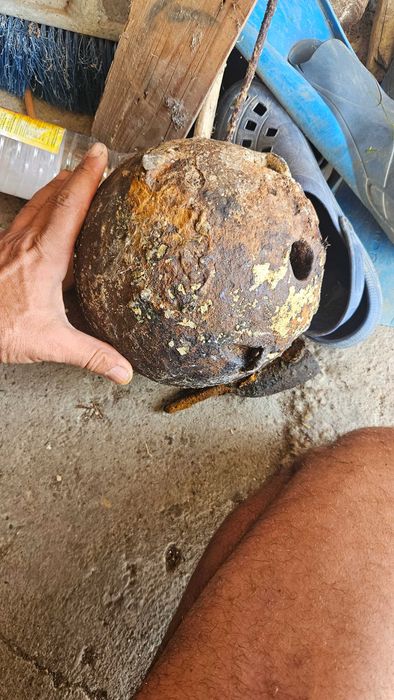 Продавам турско гюле