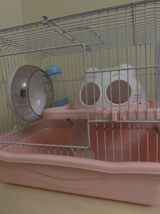 Все для хомяка клетка