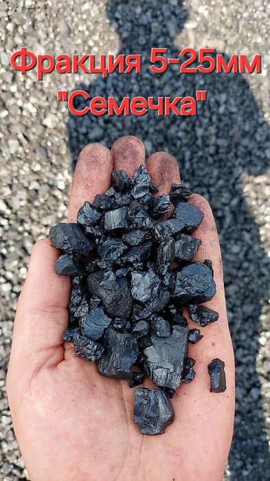 Шубаркуль. Семечка