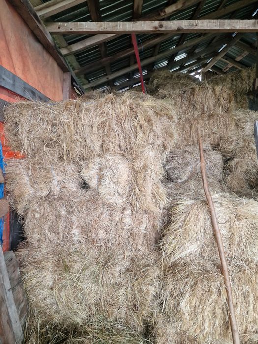 Vând baloți fân foarte buni