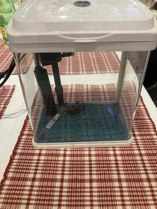 Аквариум за риби