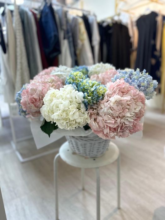 Идеальное комбо гартензии продается