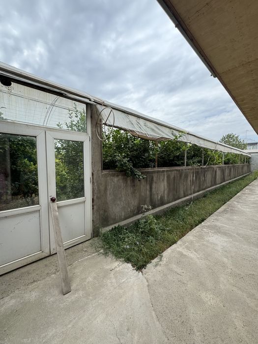 Недвижимость Политотдел